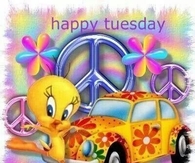 Happy Tuesday