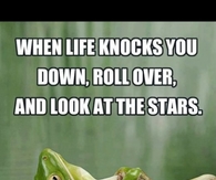 When life knocks you down