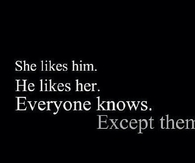 She likes him, he likes her, everyone knows, except them