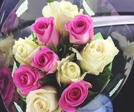 Beautiful roses