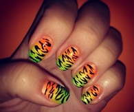 Ombre zebra nails