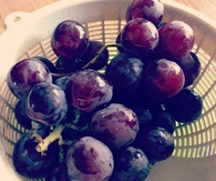 Fresh grapes