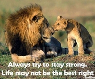 Try to be strong