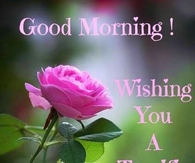 Good Morning Tuesday