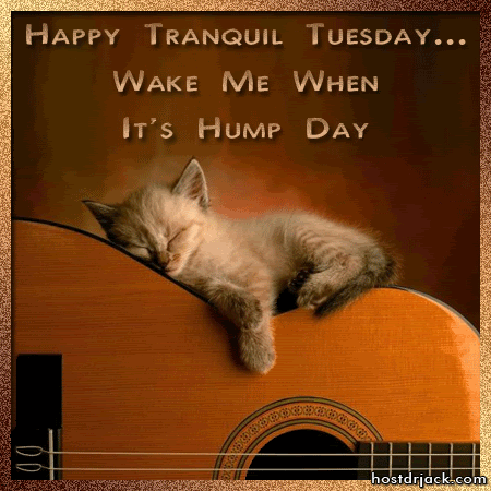 Happy Tuesday