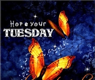 Hope your Tuesday is Beautiful