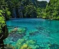 Blue Oasis