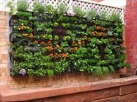 Pallet Vertical Garden
