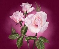 Happy Mother's Day