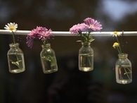Simple hanging blooms