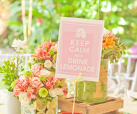 Pink lemonade garden birthday party