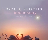 Have a beautiful Wednesday