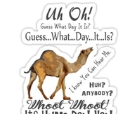 Guess what day it is