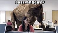 Guess what day it is