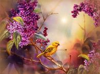 Bird Resting on a Branch