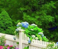 Beautiful Flower Bed Along Fence
