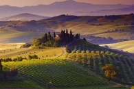 Beautiful Landscape