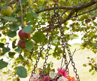 Garden flower jars