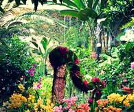 Floral garden meadow  