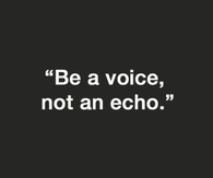 Be a voice, not an echo