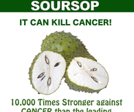 Soursop kills cancer