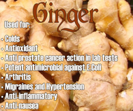 Ginger Benefits