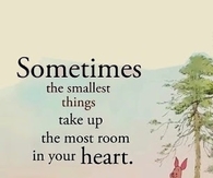 sometimes the smallest things