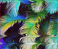 Trippy Palm Trees