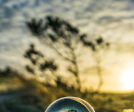 Reflective globe