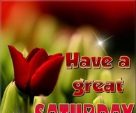 Have a great Saturday