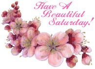 Have a beautiful Saturday