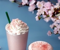 Japanese Sakura Cream Frappuccino & Steamer