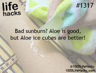 Aloe ice cubes