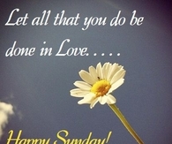 Happy Sunday