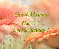 Have a lovely Sunday