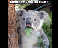 tomorrow's monday again