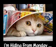 hiding from monday