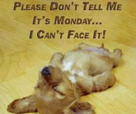 Monday arrives (here's my reaction)