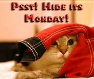 Hide it's Monday