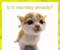 is it Monday? (too cute)