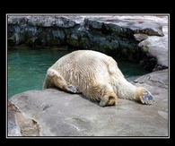 how I feel on Monday's