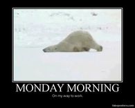 dragging to work (Monday's)