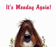 It's Monday Again