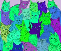 Trippy Cats