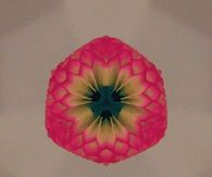 Cellophane Flowers