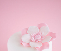Pretty Little Pink Cake