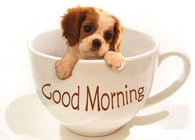 Good Morning