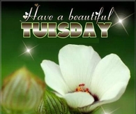Have a beautiful Tuesday