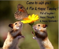 Happy Tuesday