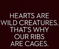 Hearts Are Wild Creatures